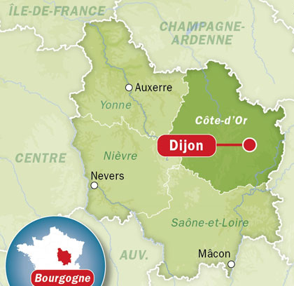 cours à domicile Dijon