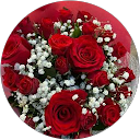 Israe Nour profile picture
